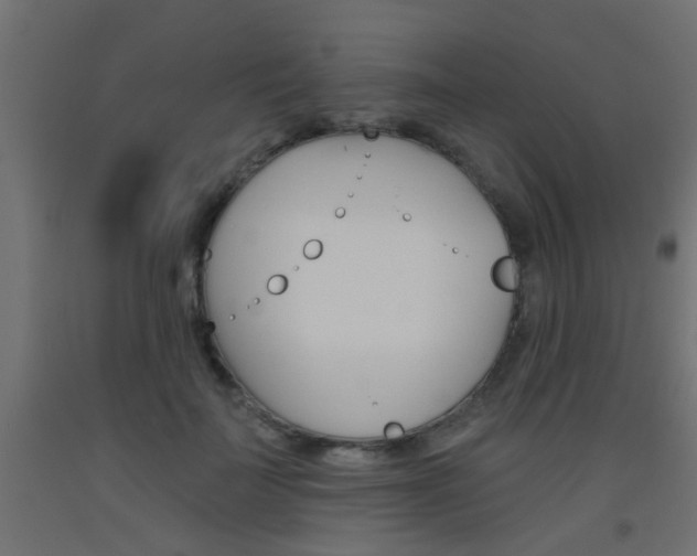 X0000093450699200710121006