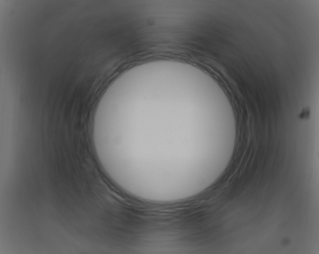 X0000093450701200710121006