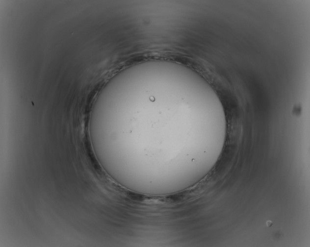 X0000093450703200710121006