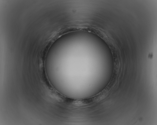 X0000093450704200710121006