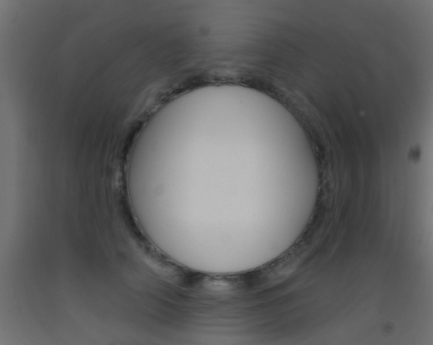X0000093450706200710121006
