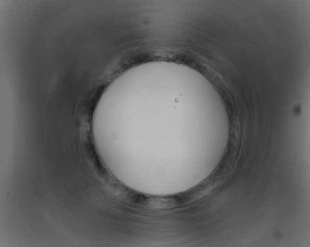 X0000093450707200710121006