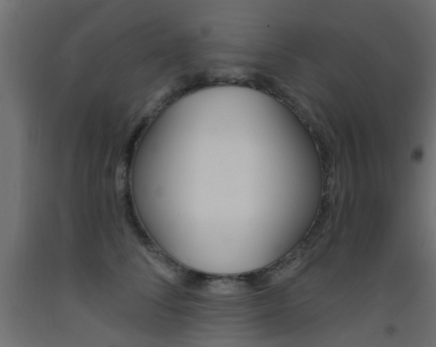 X0000093450708200710121006