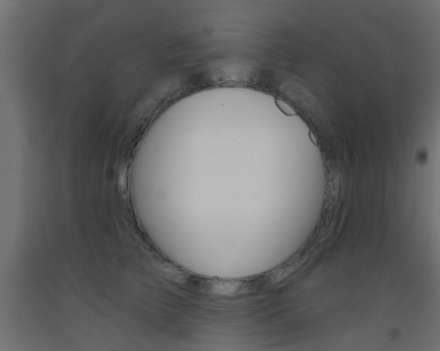 X0000093450709200710121006