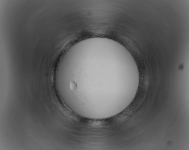 X0000093450710200710121006