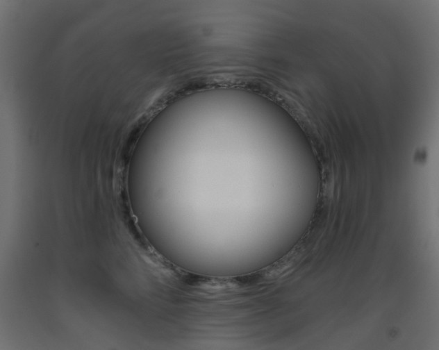 X0000093450712200710121006