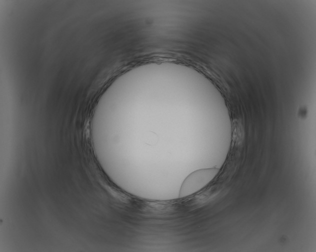 X0000093450713200710121006