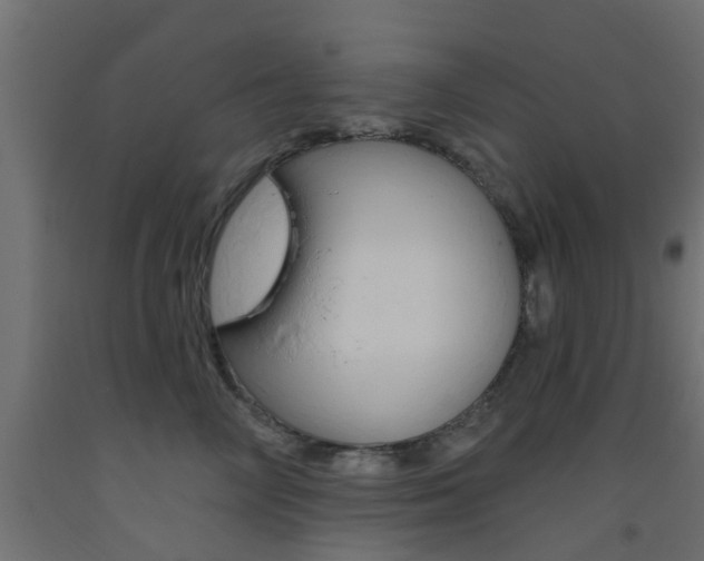 X0000093450714200710121006