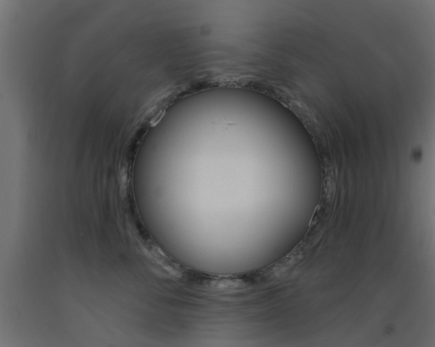 X0000093450716200710121006