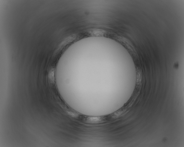 X0000093450717200710121006