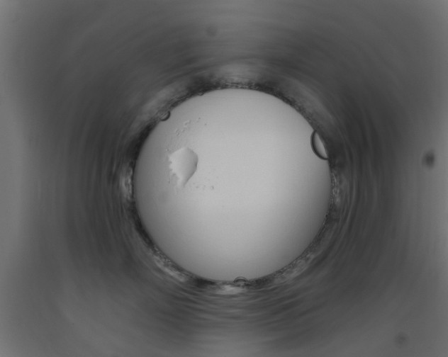 X0000093450718200710121006