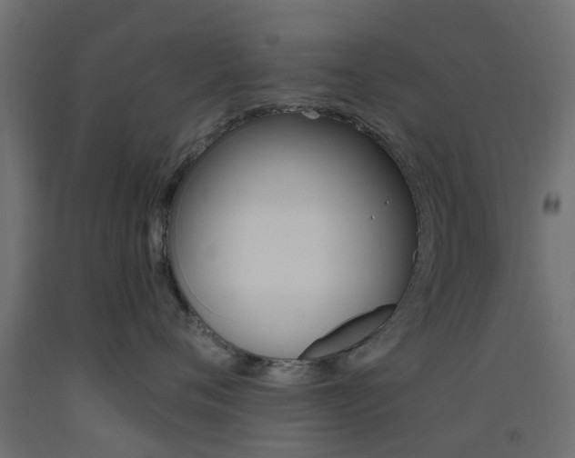 X0000093450720200710121006