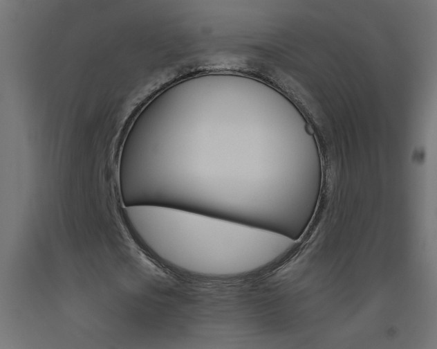 X0000093450721200710121005