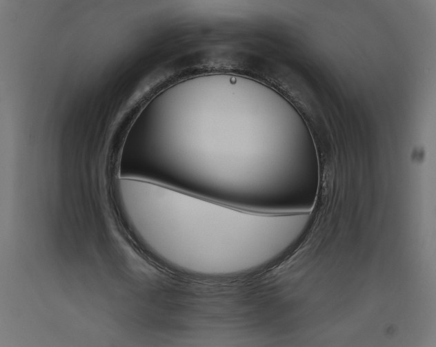 X0000093450722200710121005