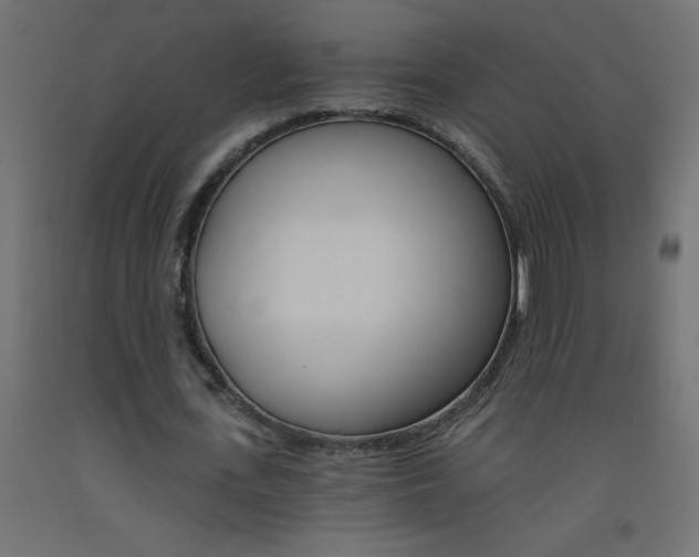 X0000093450723200710121005