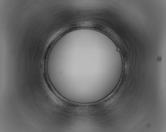X0000093450725200710121005