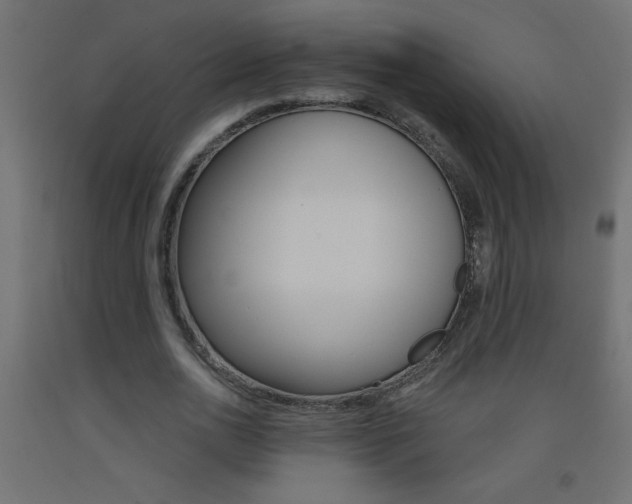 X0000093450726200710121005