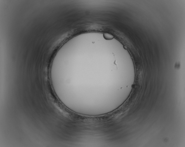 X0000093450729200710121005