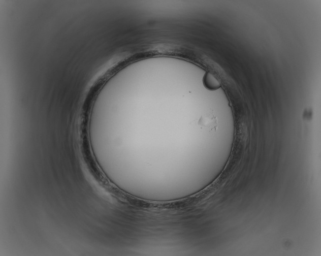 X0000093450730200710121005
