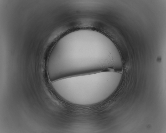 X0000093450732200710121005