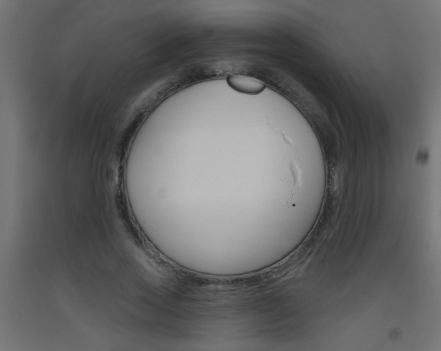 X0000093450733200710121005