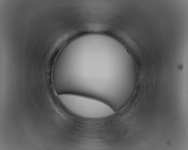 X0000093450736200710121005