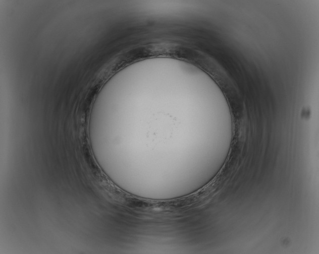 X0000093450737200710121005