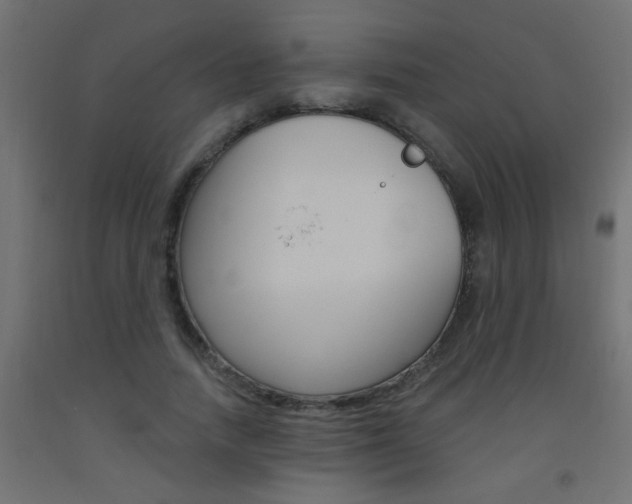 X0000093450738200710121005