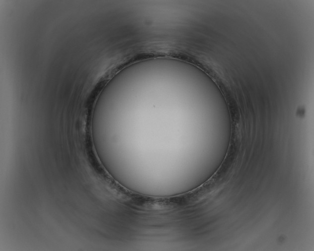 X0000093450739200710121005