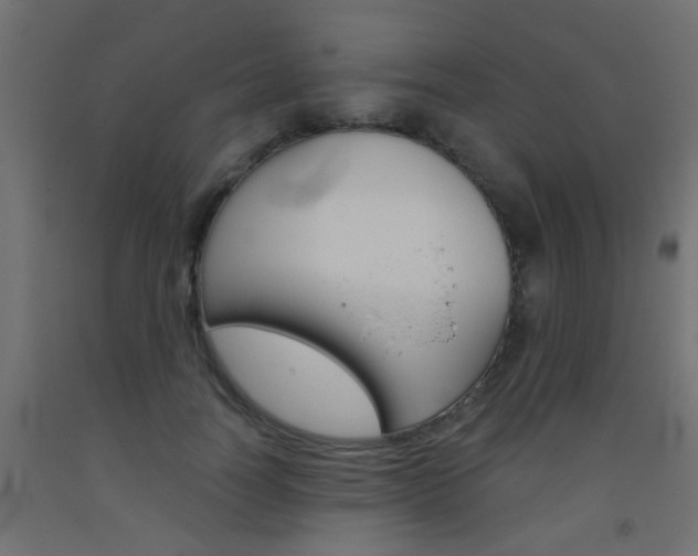 X0000093450746200710121005