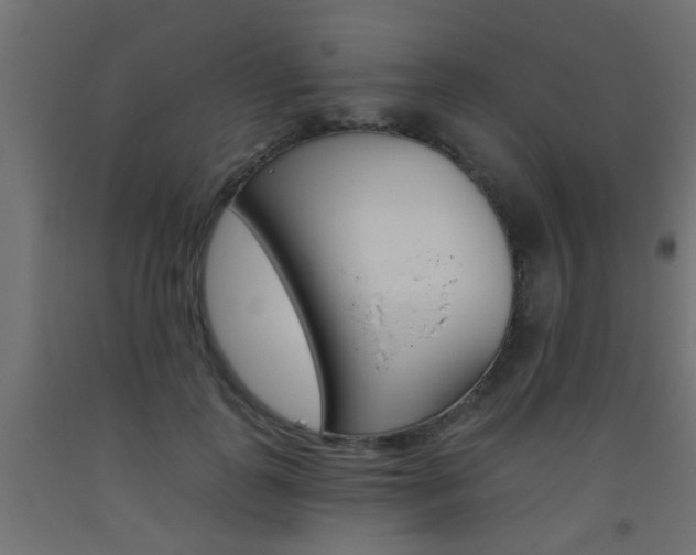 X0000093450747200710121005