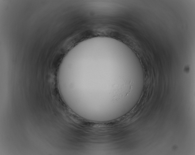 X0000093450749200710121005