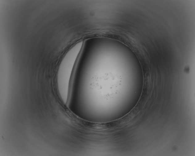 X0000093450750200710121005