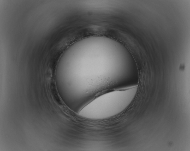 X0000093450752200710121005