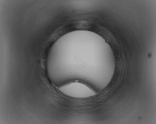X0000093450755200710121005