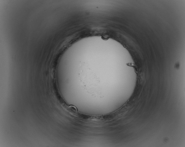X0000093450756200710121005