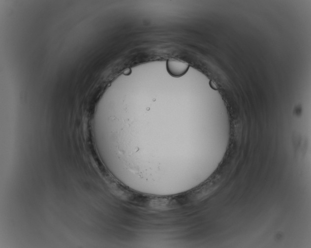 X0000093450757200710121005