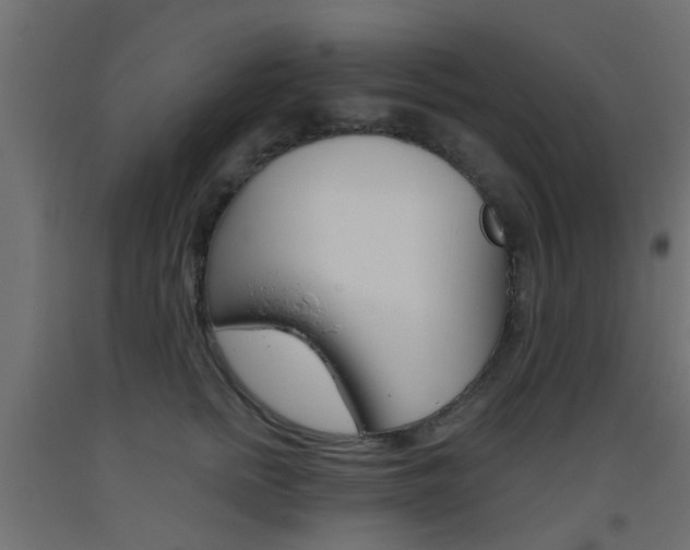 X0000093450758200710121005