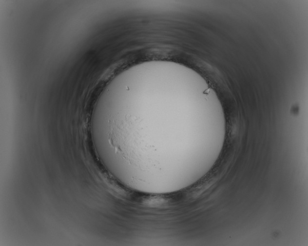 X0000093450759200710121005