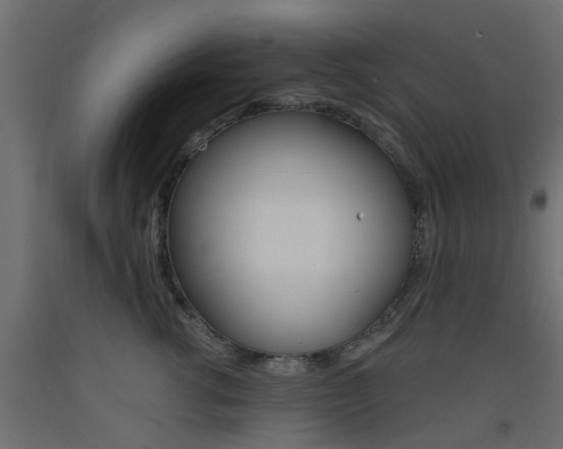 X0000093450762200710121005