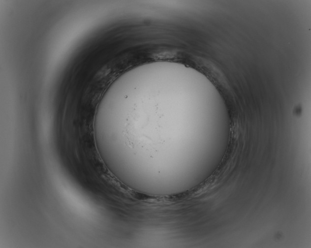 X0000093450763200710121005