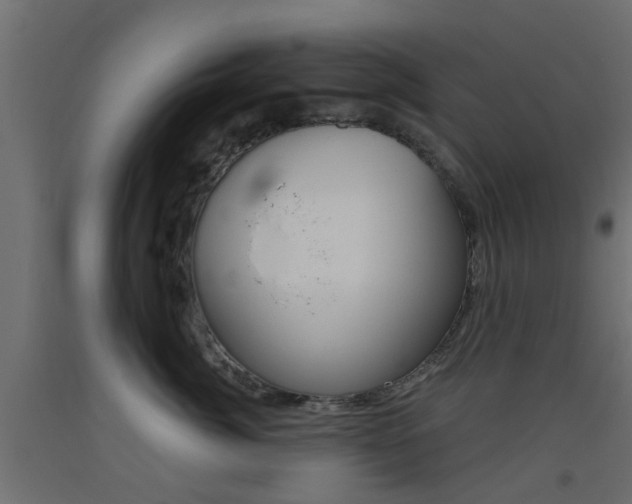 X0000093450764200710121005