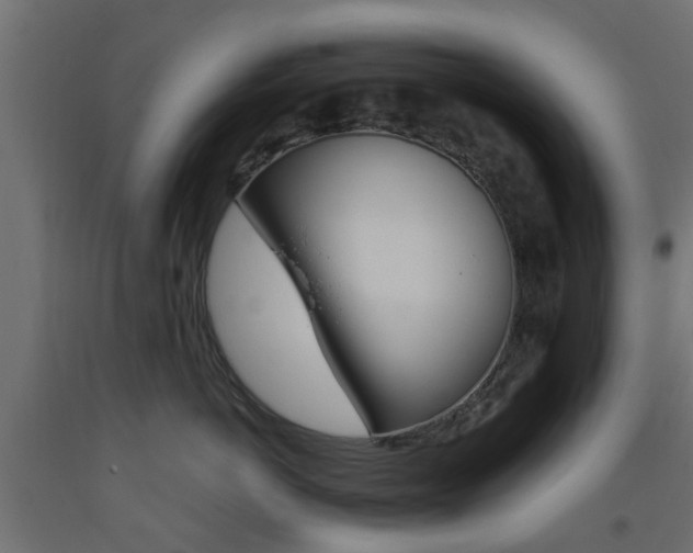 X0000093450766200710121005