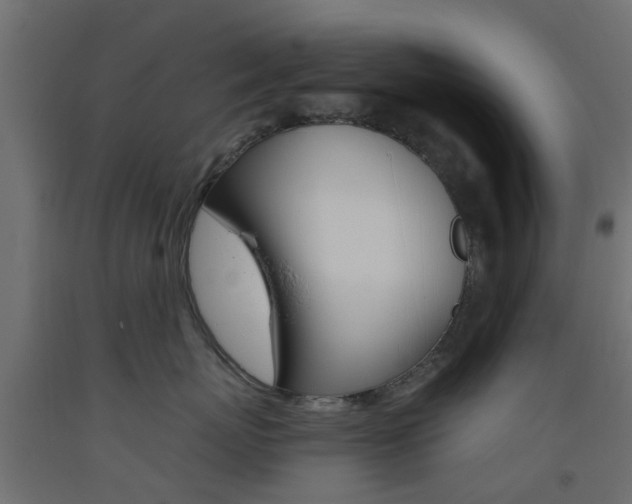 X0000093450767200710121006