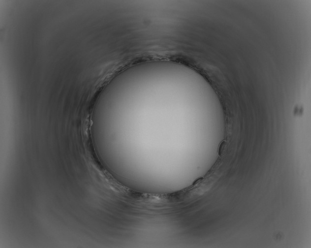 X0000093450768200710121006
