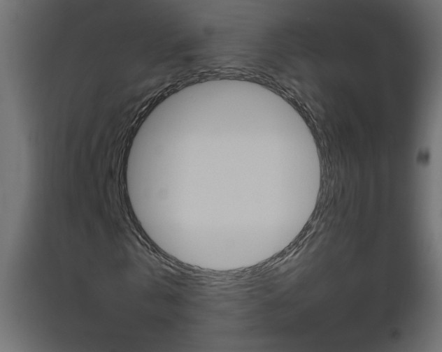 X0000093450769200710121005
