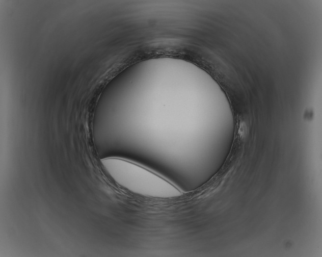 X0000093450771200710121005