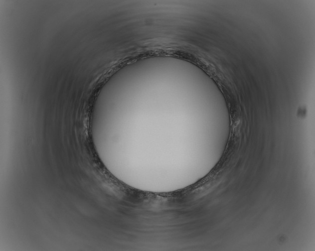 X0000093450772200710121005