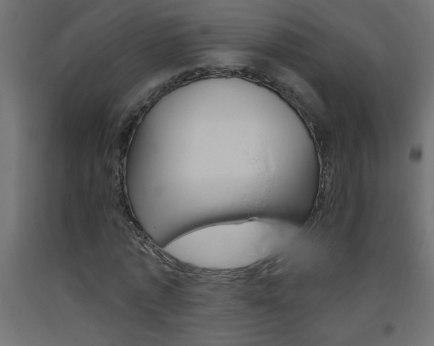 X0000093450773200710121005