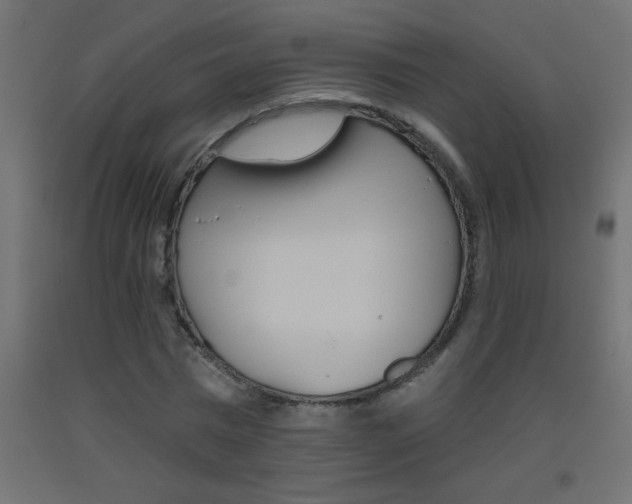 X0000093450777200710121005